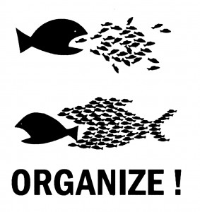 organize